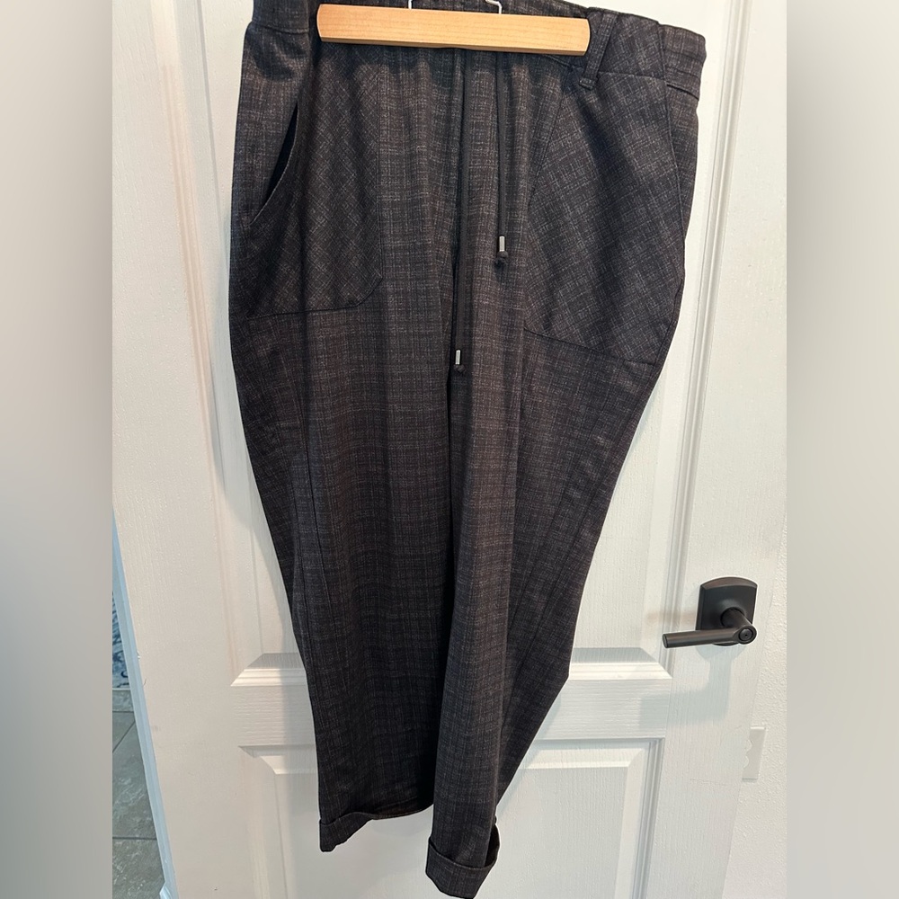 Democracy pants size 2x
